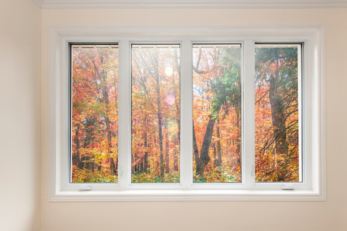 Window with a view of autumn trees