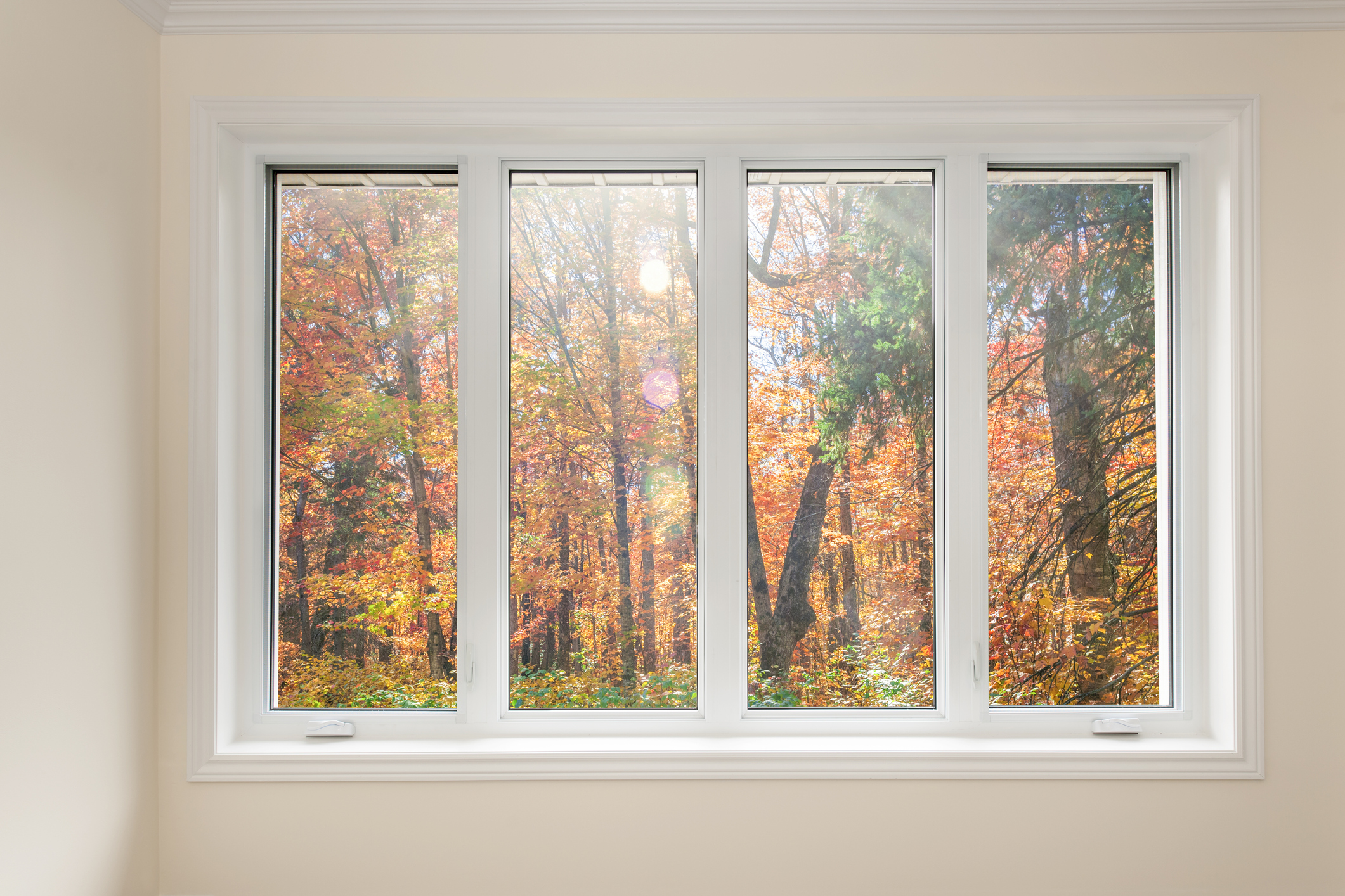 Window with a view of autumn trees